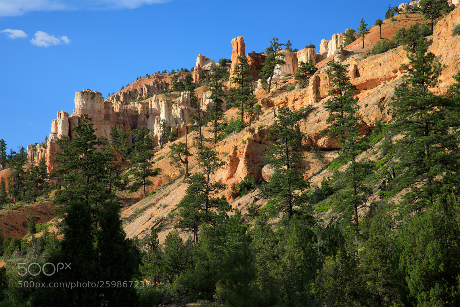 Canon EOS 5D Mark IV sample photo. Bryce canyon national park 1888 photography