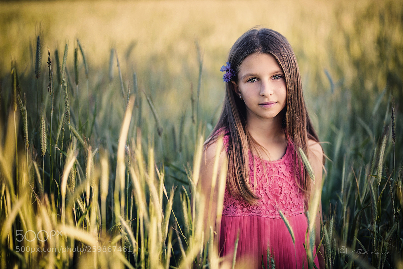 Nikon D750 sample photo. Nati dsc photography