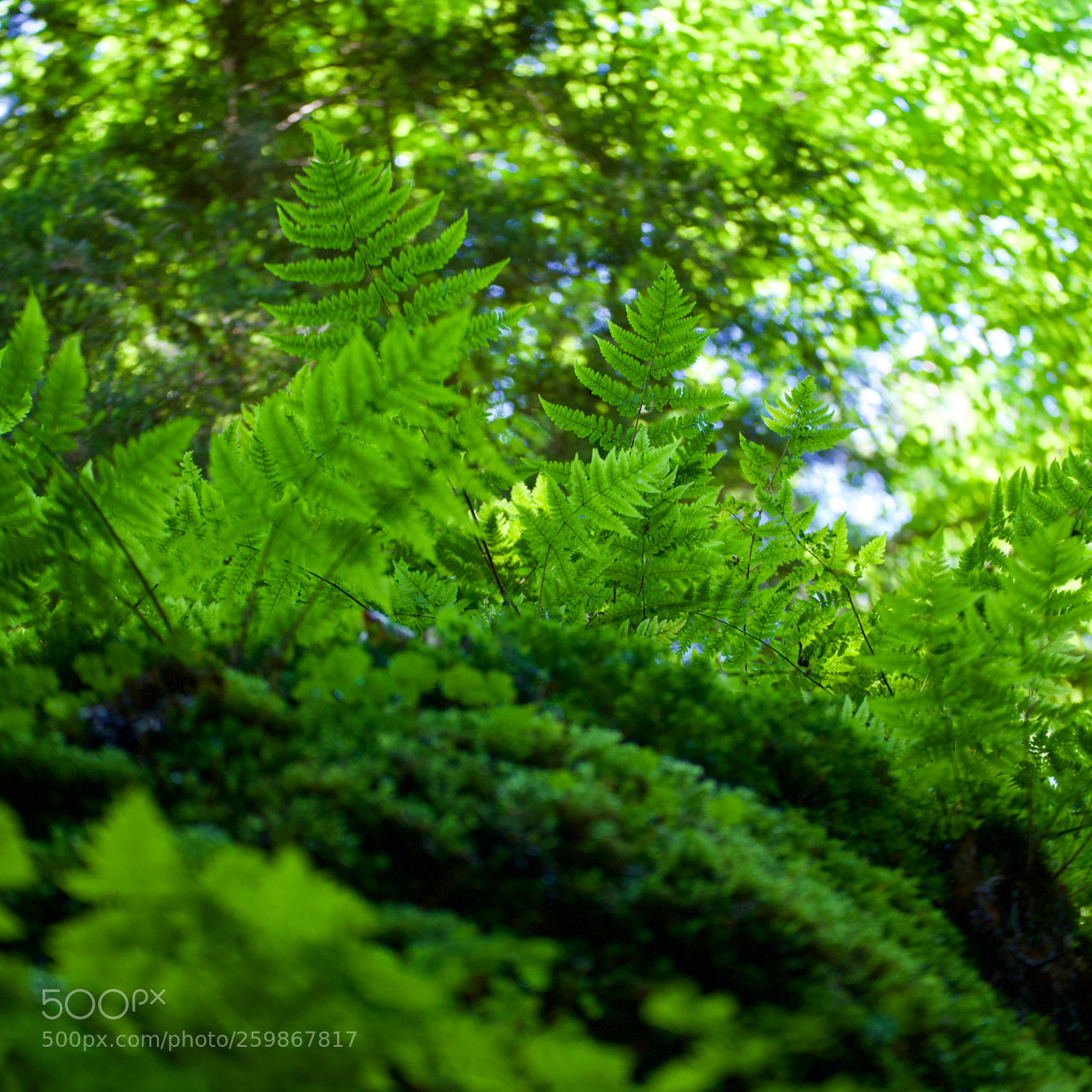 Nikon D750 sample photo. Wartburgblick nach der s photography