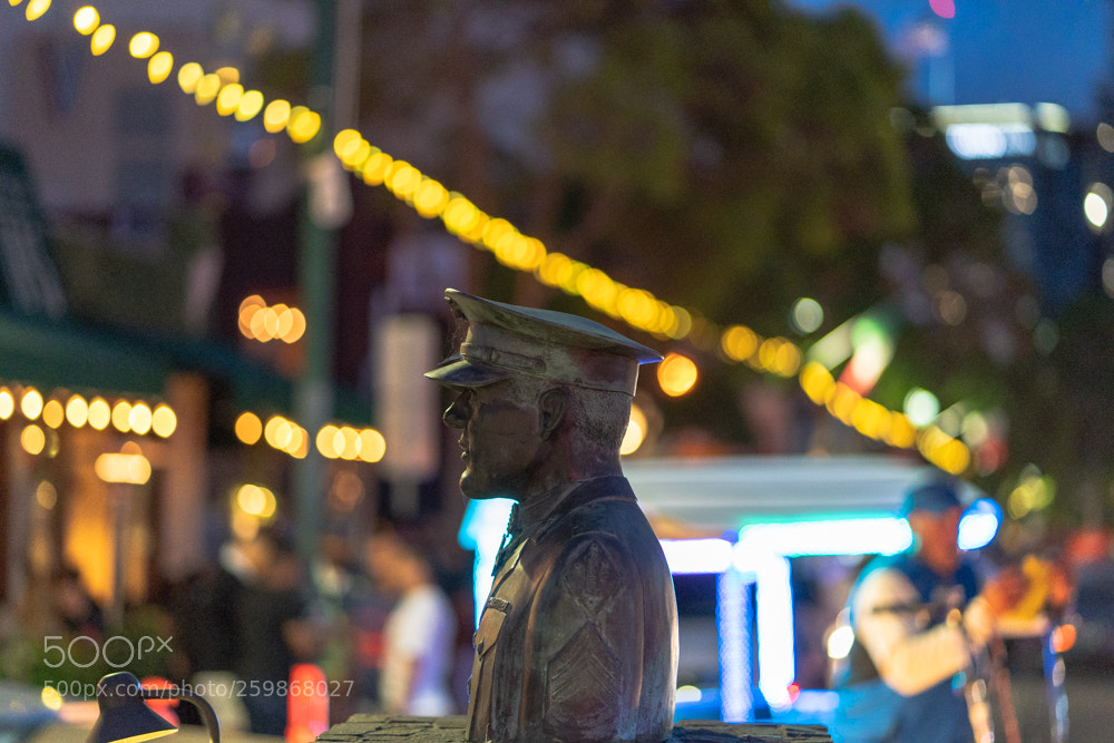 Sony a7 III sample photo. Memorial day photography