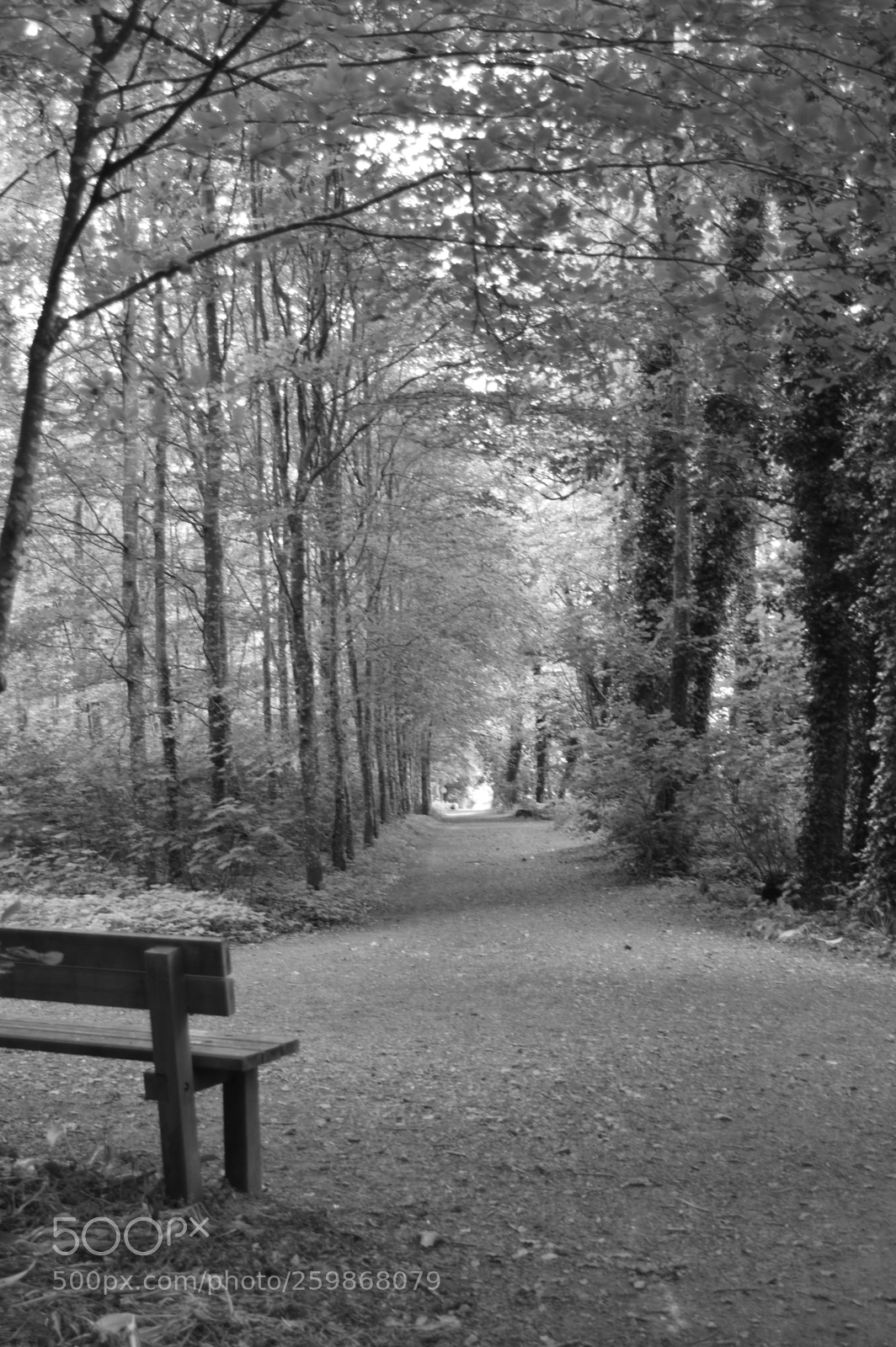 Nikon D3200 sample photo. Untitled photography