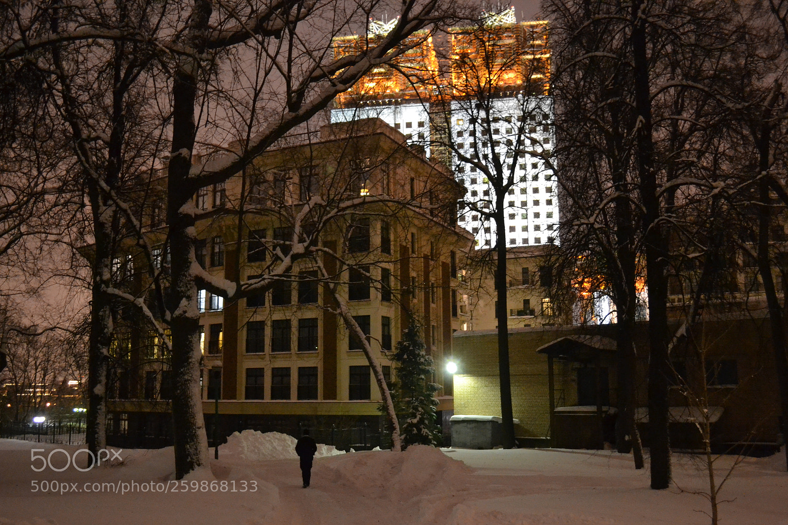 Nikon D3100 sample photo. Russian academy of science photography