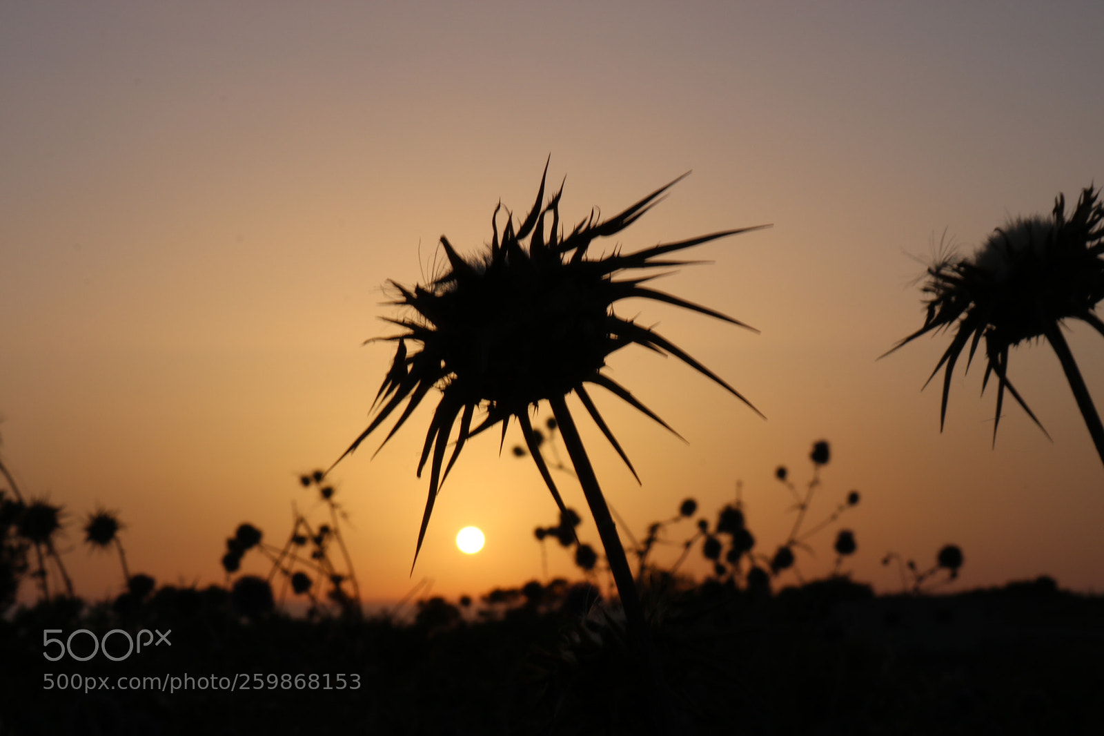 Canon EOS 750D (EOS Rebel T6i / EOS Kiss X8i) sample photo. Small sun photography