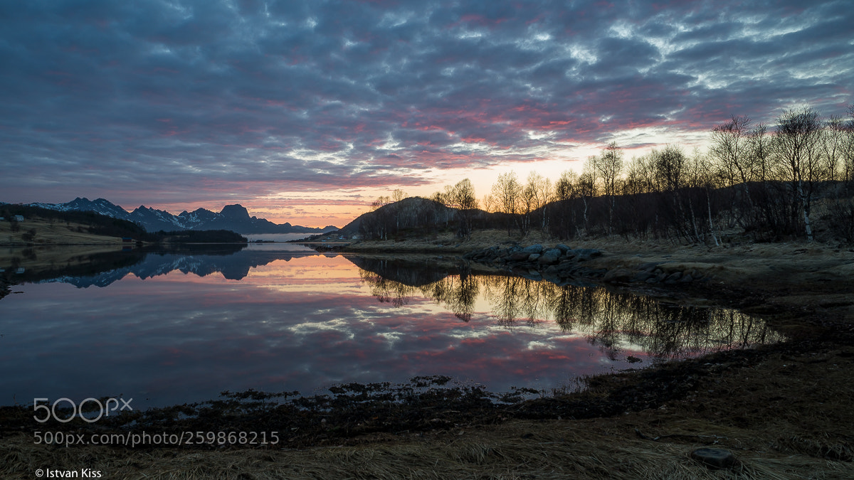 Nikon D610 sample photo. Midnight calm photography