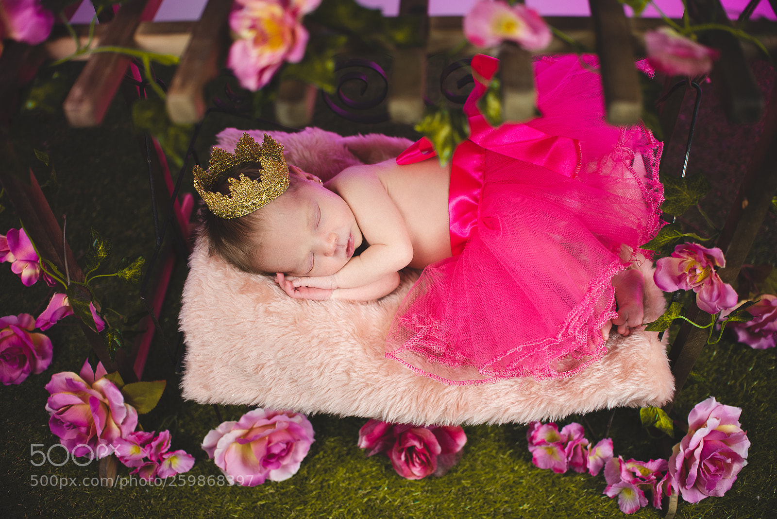 Nikon D750 sample photo. Malu -17 days photography