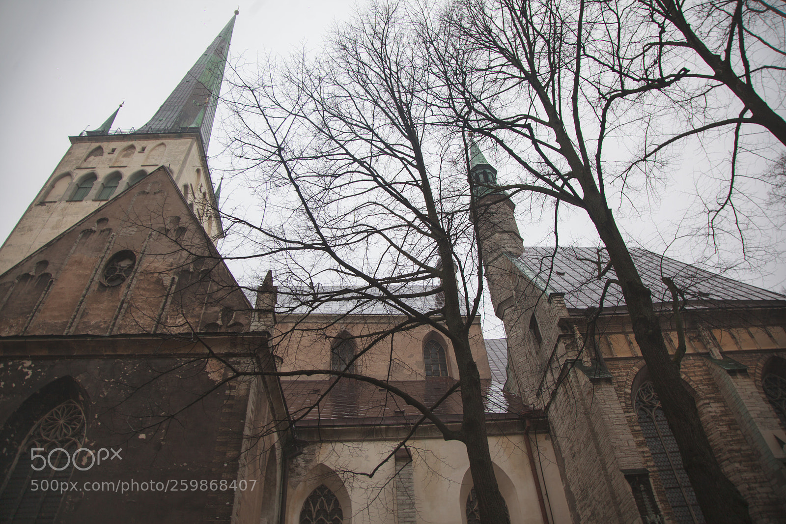 Canon EOS 5D Mark II sample photo. Таллин photography