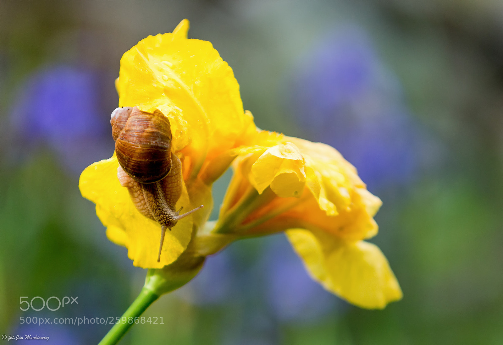 Canon EOS 6D sample photo. Untitled photography