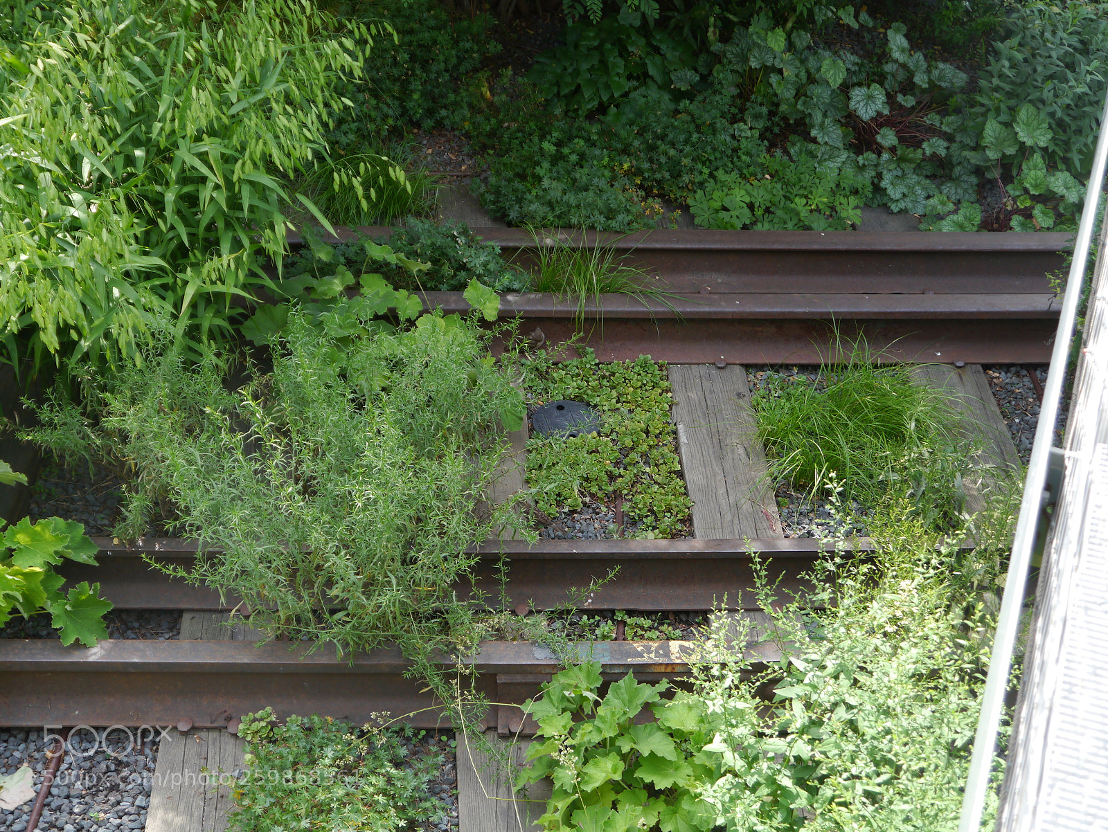 Panasonic Lumix DMC-G3 sample photo. Vias de tren photography