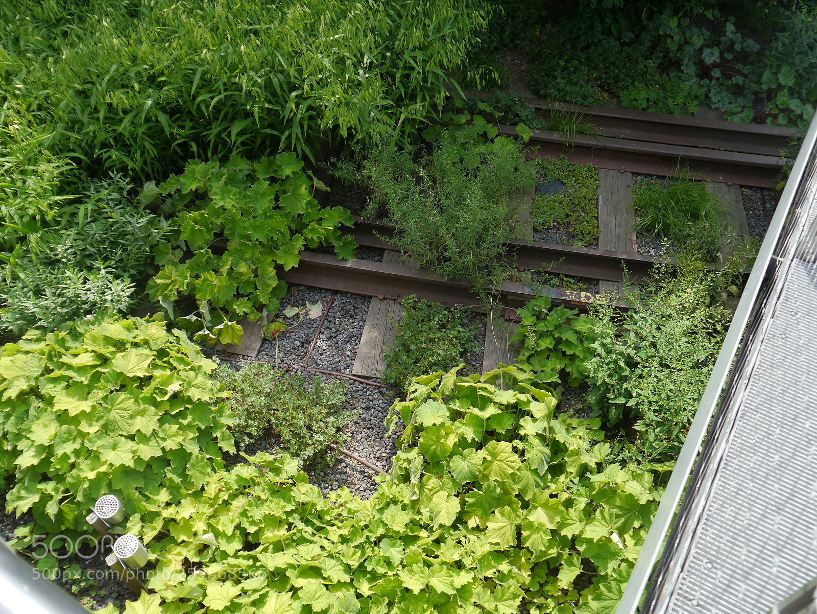 Panasonic Lumix DMC-G3 sample photo. Vias de tren photography