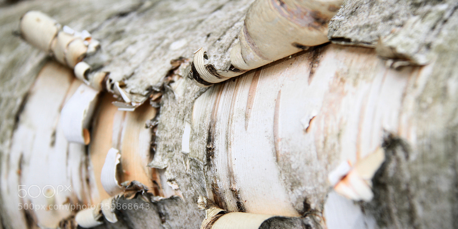 Canon EOS 7D sample photo. Odd shot 14636 photography