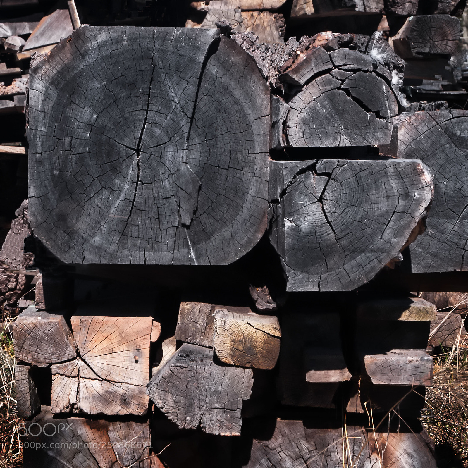 Nikon D300 sample photo. Lumber geometry photography