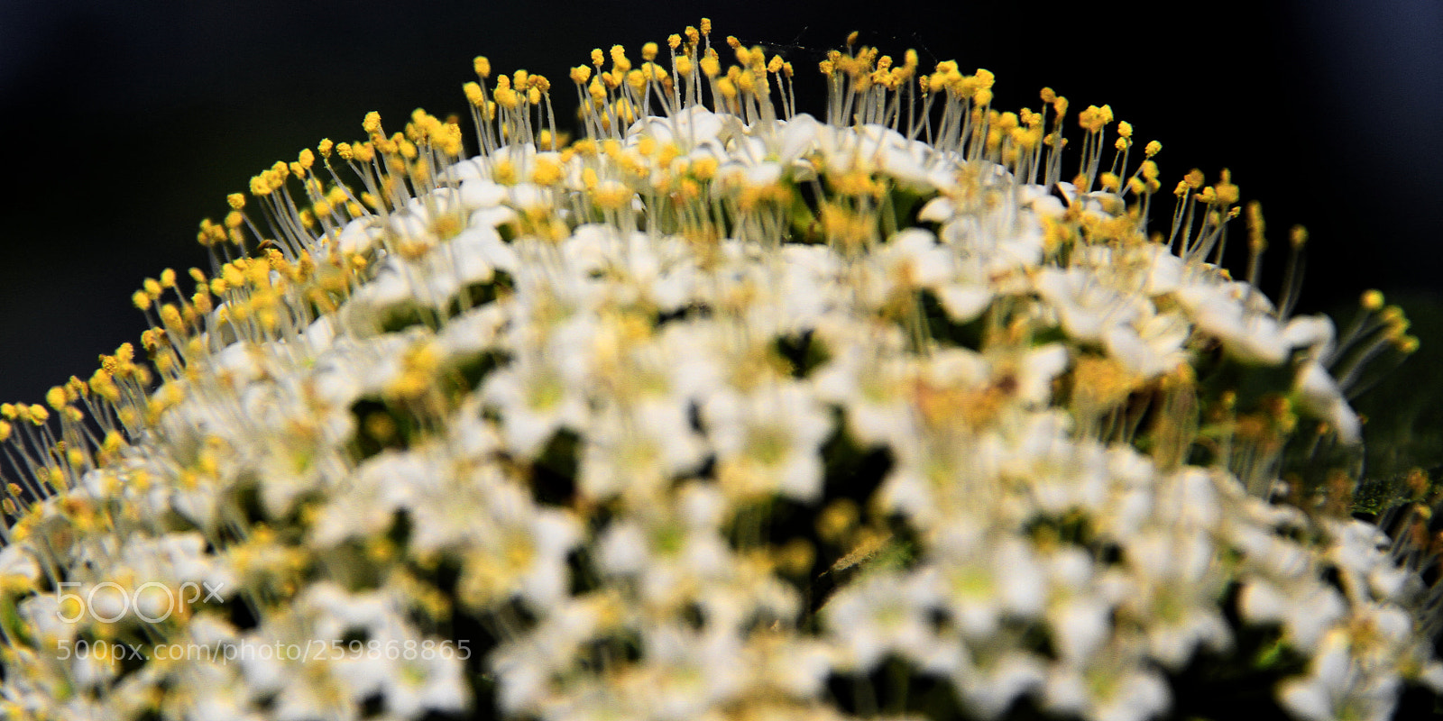 Canon EOS 7D sample photo. Odd shot 14628 photography