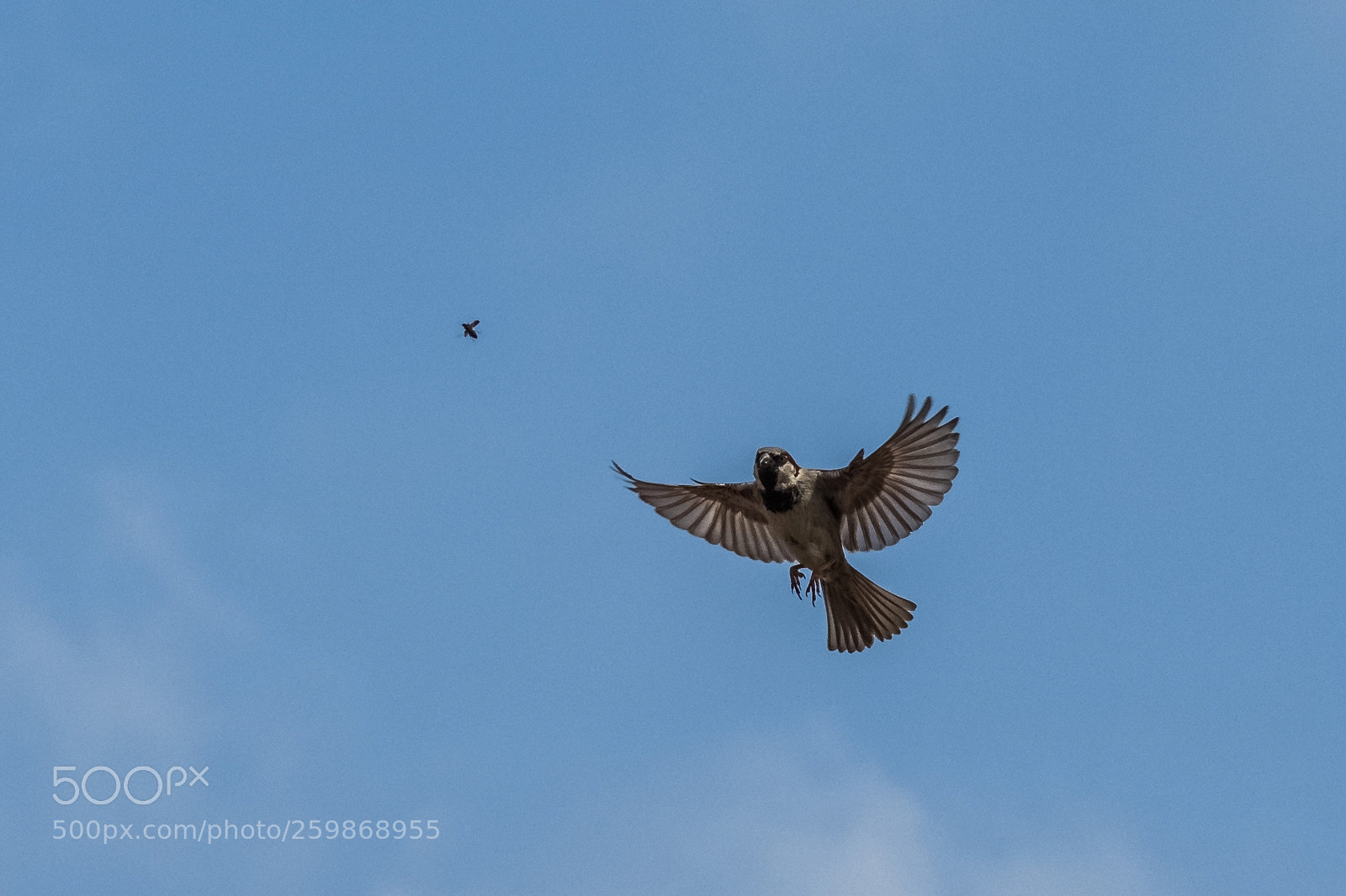 Nikon D7200 sample photo. Going in for the photography