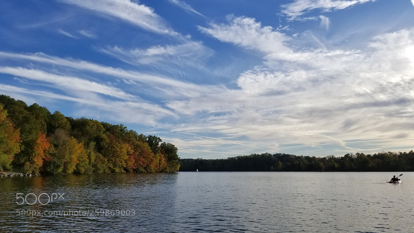 Samsung Galaxy S8+ sample photo. Untitled photography