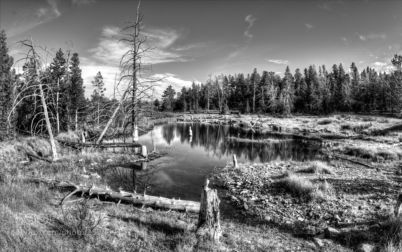 Canon EOS 60D sample photo. Beaver pond photography