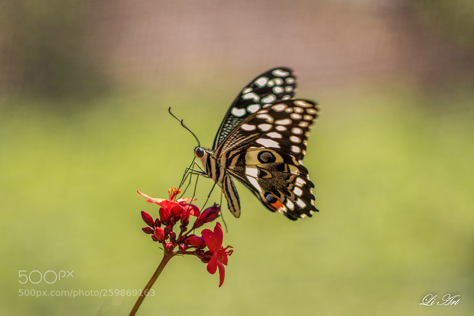 Canon EOS 7D Mark II sample photo. Beautiful moment photography