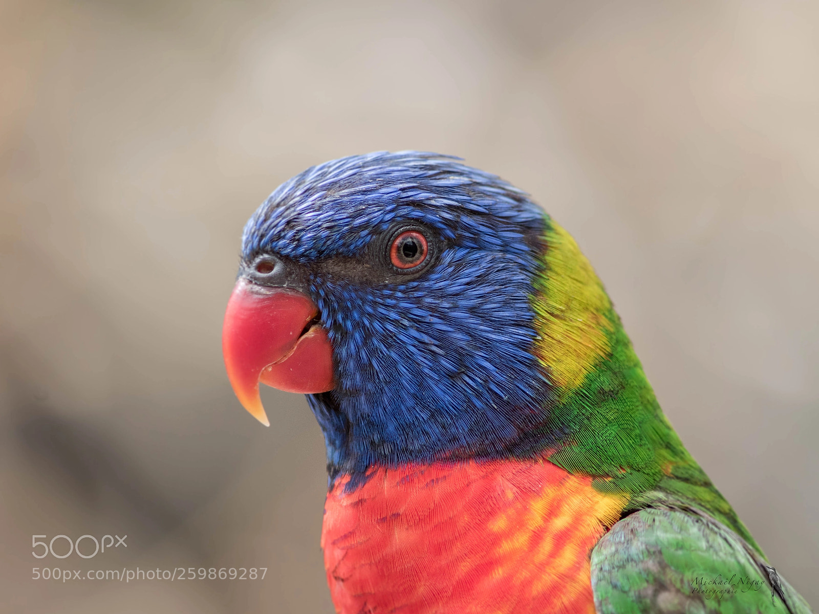 Canon EOS 7D Mark II sample photo. Regard de lori photography