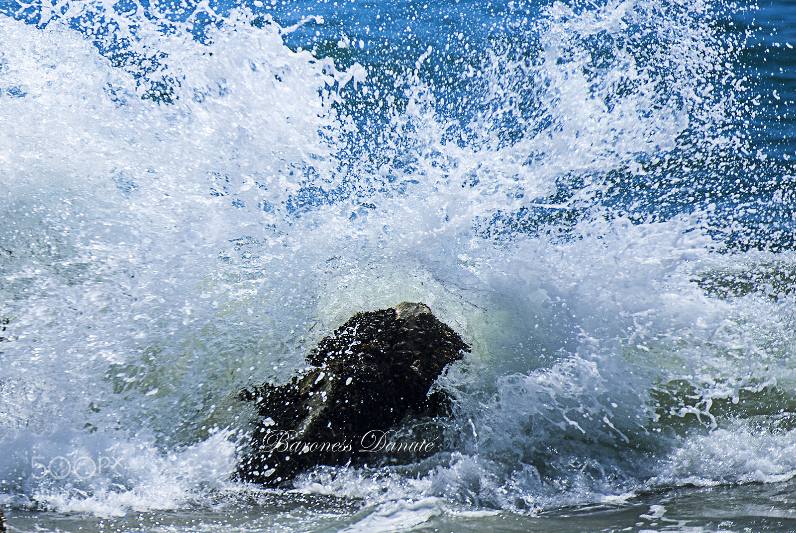 Nikon D3 sample photo. Natures power photography