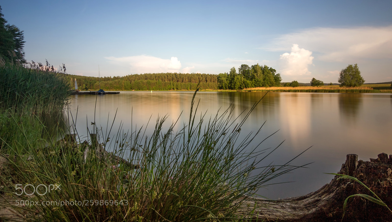 Canon EOS 60D sample photo. Evening sun at the photography
