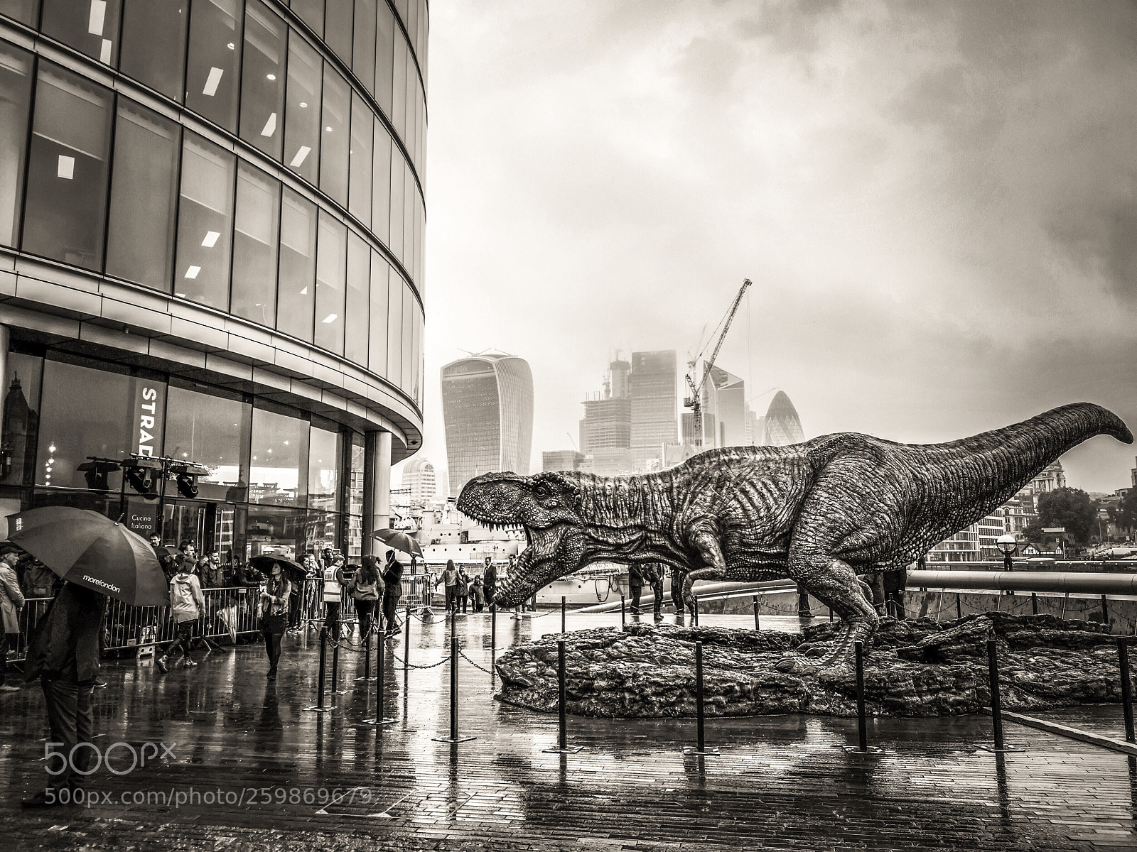 HUAWEI CLT-L09 sample photo. London lizard photography