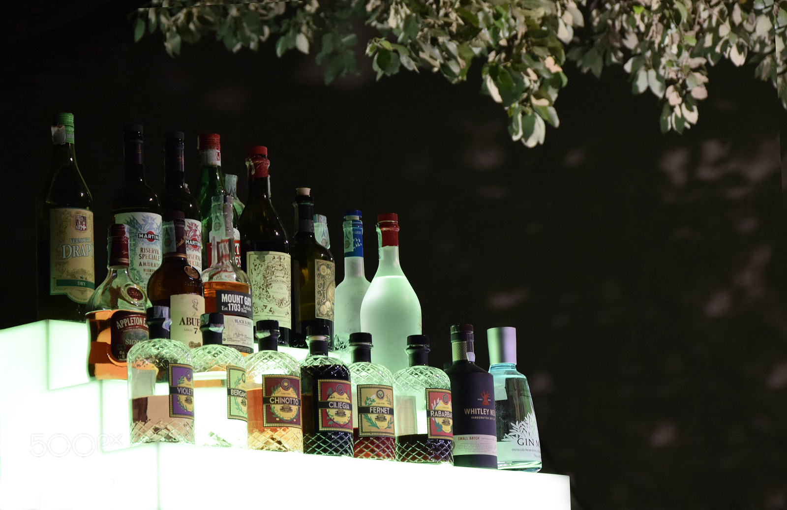 Nikon D5300 sample photo. What do you drink? photography