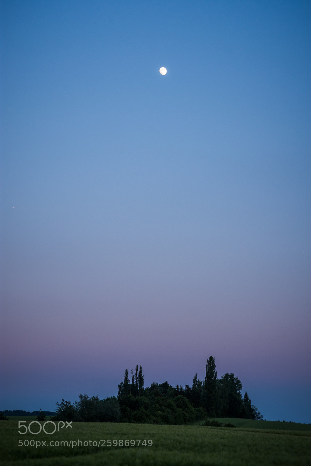 Nikon D7200 sample photo. Moon photography