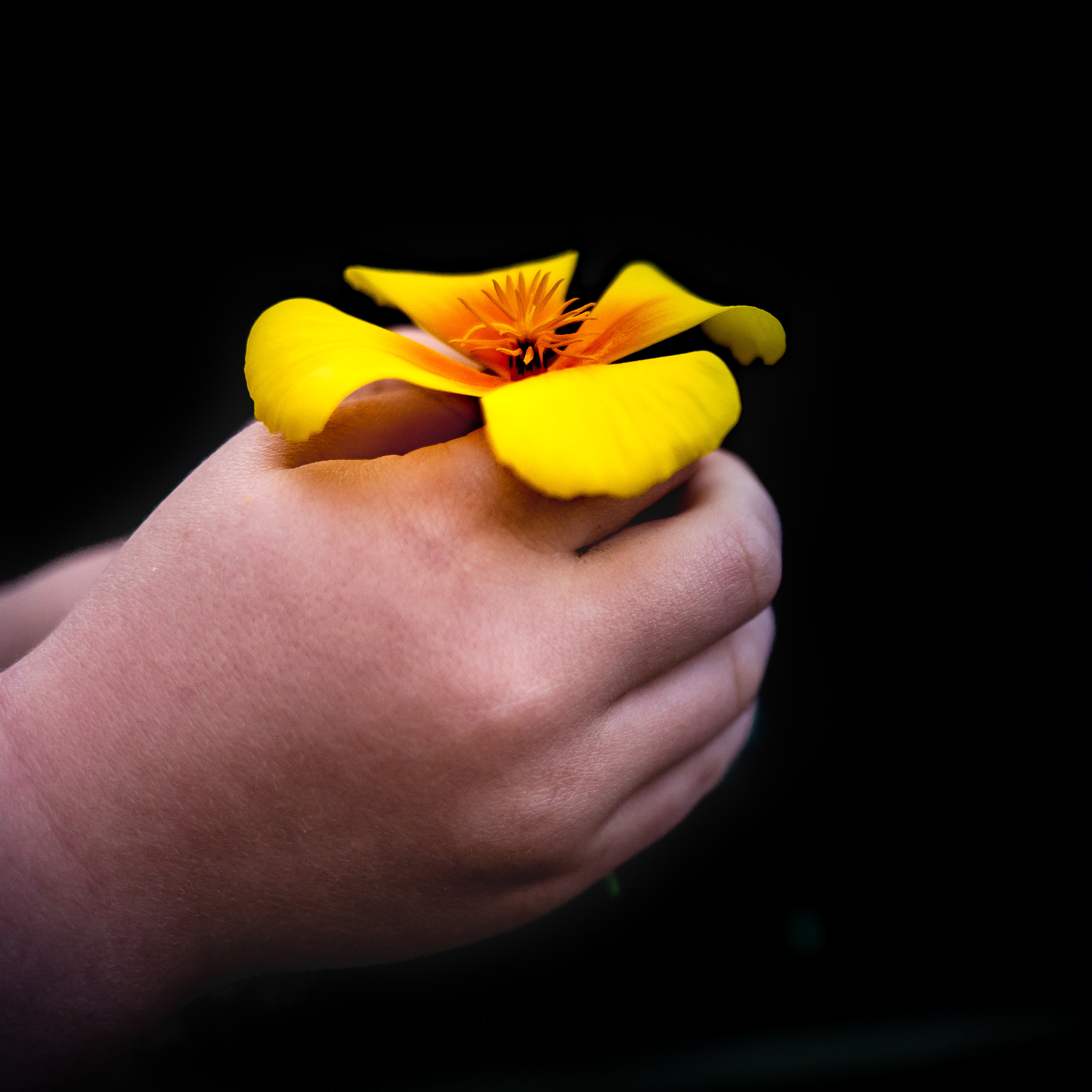 Panasonic Lumix DMC-GF7 sample photo. Une fleur pour maman photography