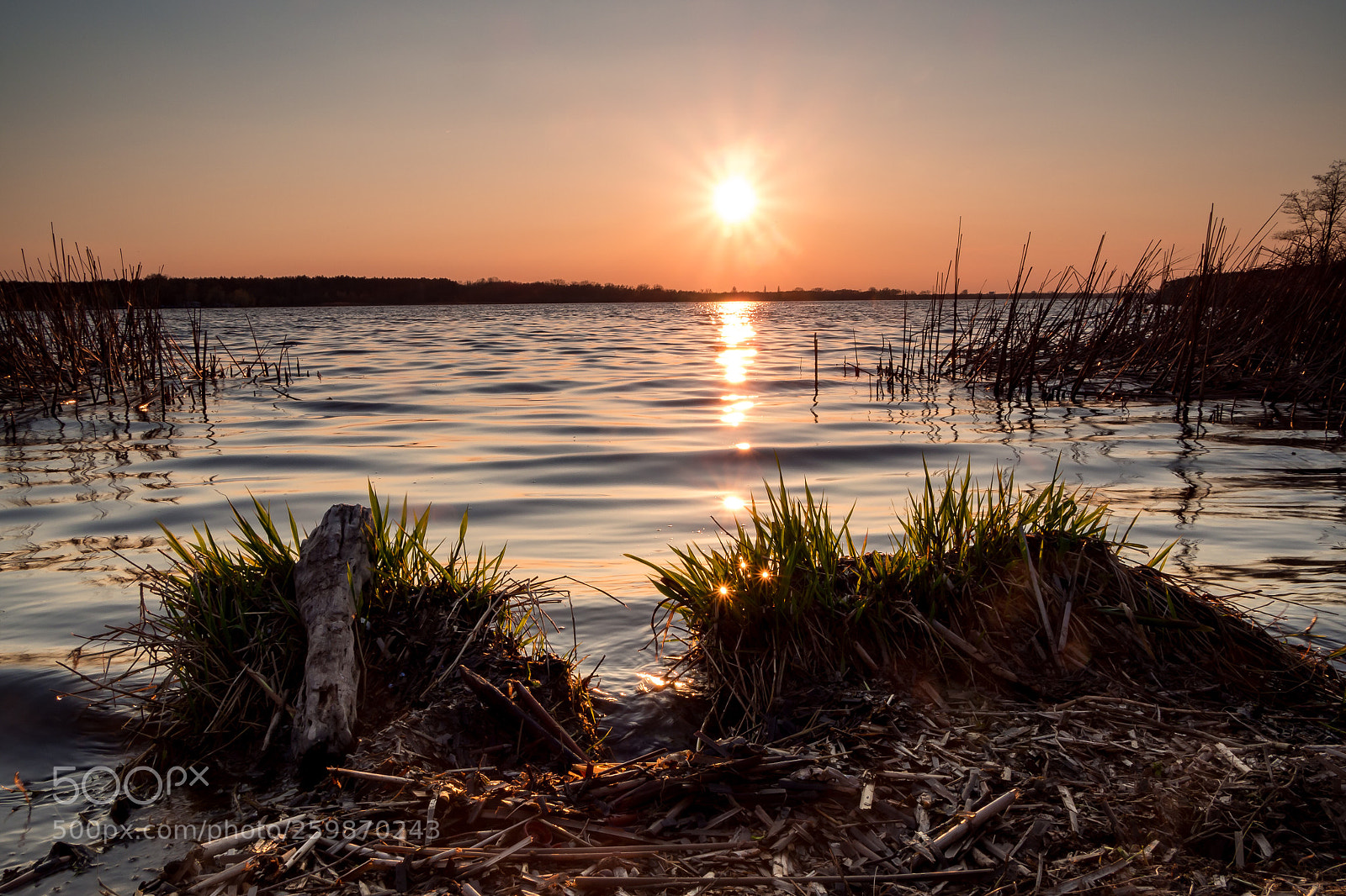 Olympus OM-D E-M10 II sample photo. When the sun goes photography