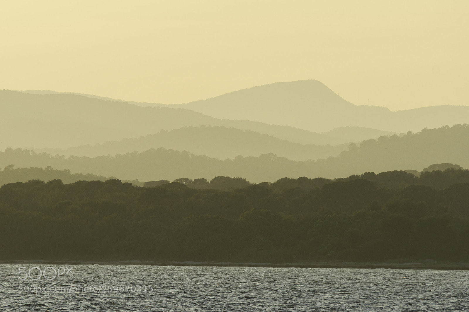 Sony Alpha DSLR-A850 sample photo. Golden hour on the photography