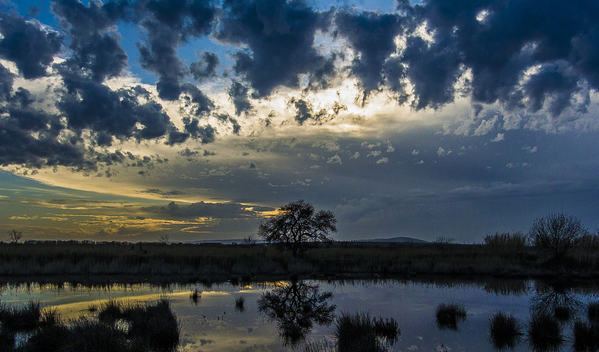 Nikon 1 V2 sample photo. Reflections photography