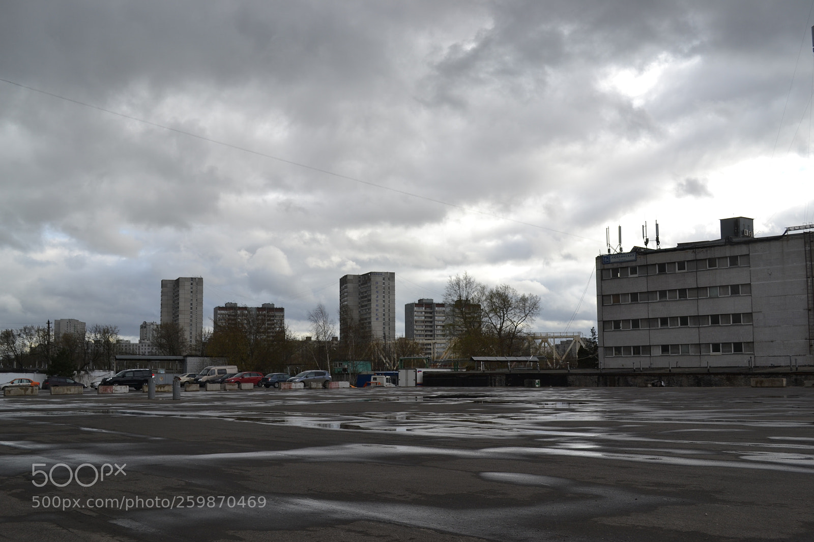 Nikon D3100 sample photo. After rain photography