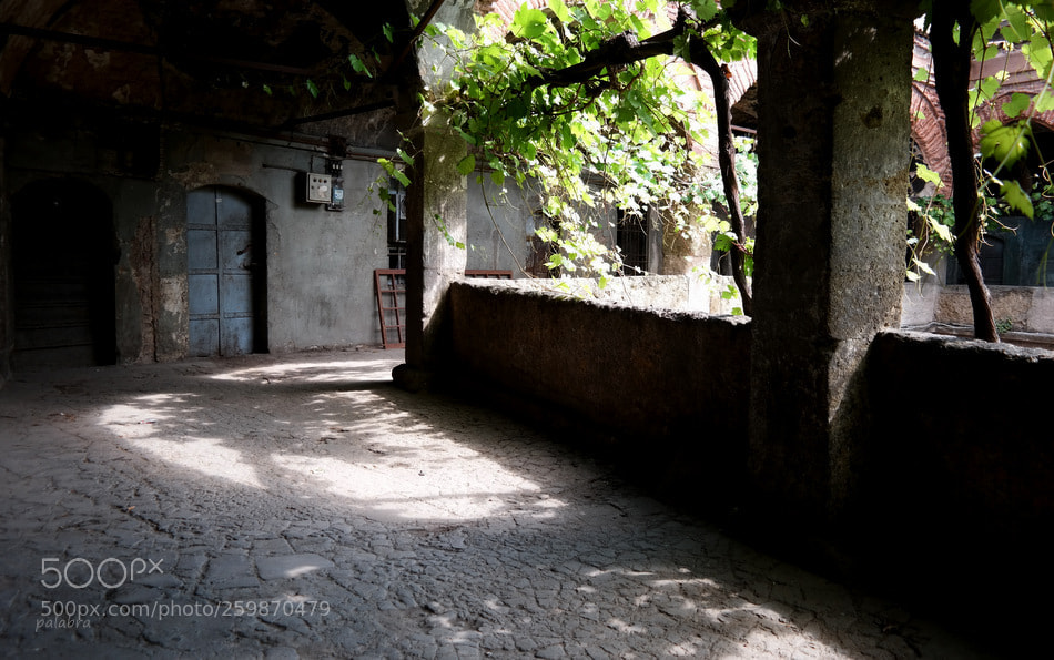 Samsung NX300 sample photo. ... photography