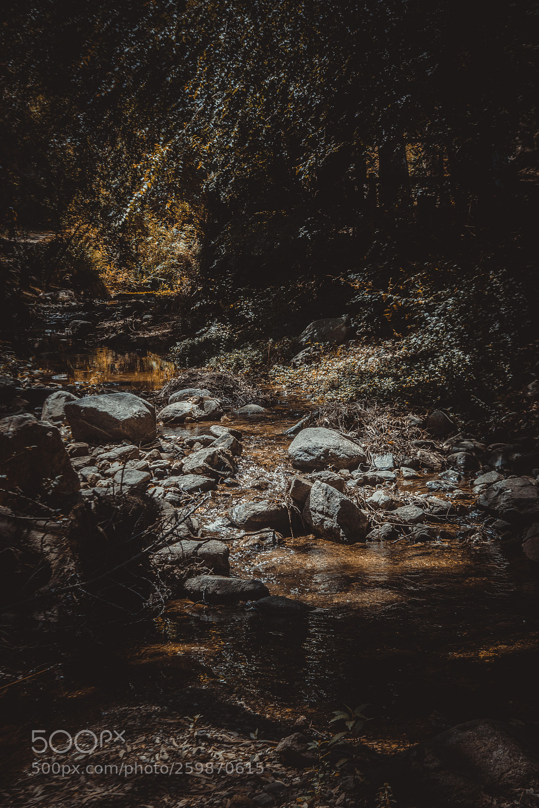 Nikon D750 sample photo. Arroyo photography