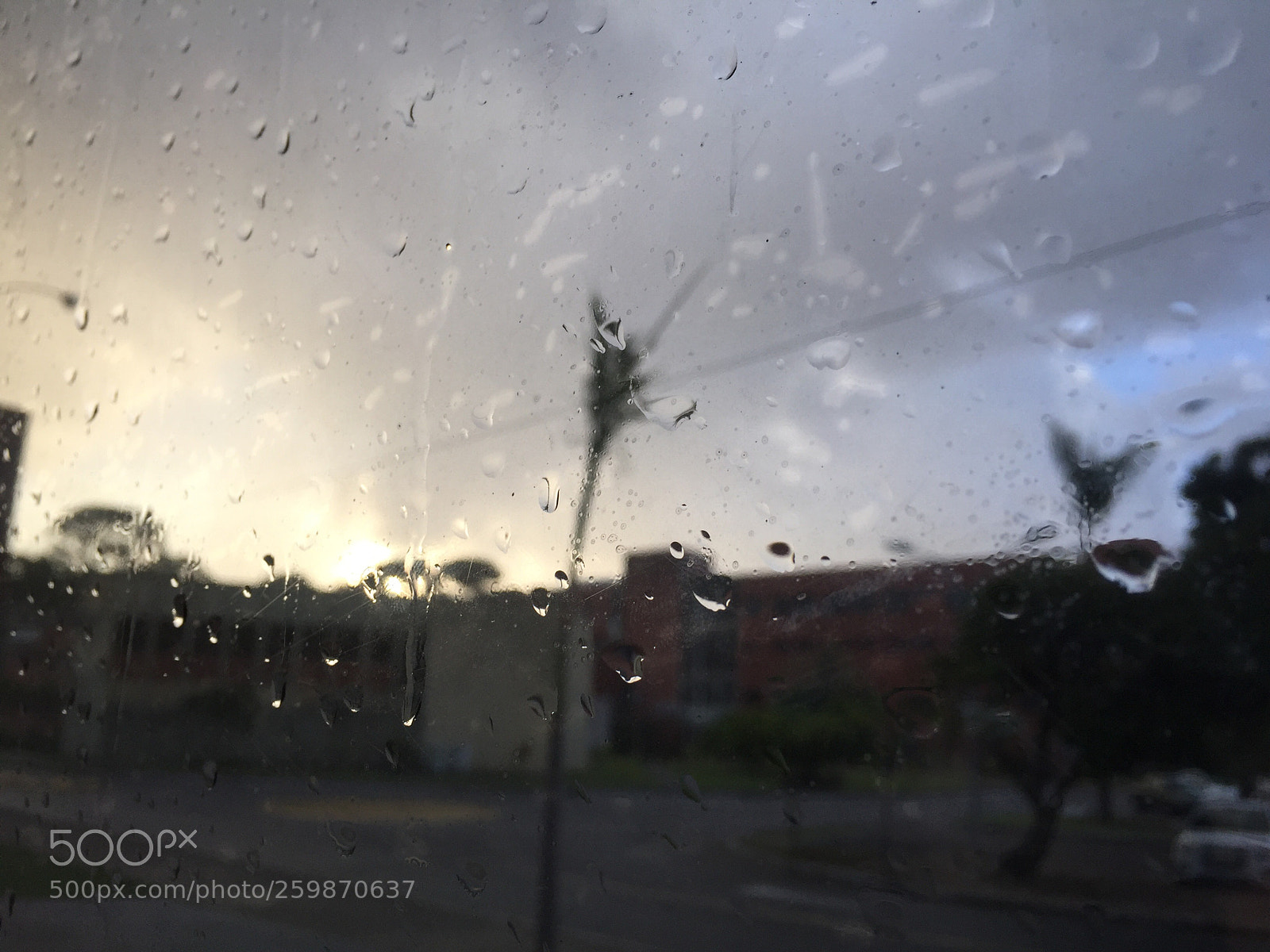 Apple iPhone 6 sample photo. Seeing the rain photography