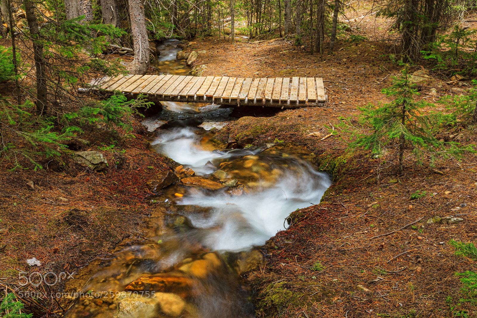 Canon EOS 5D Mark IV sample photo. Small stream nature walking photography