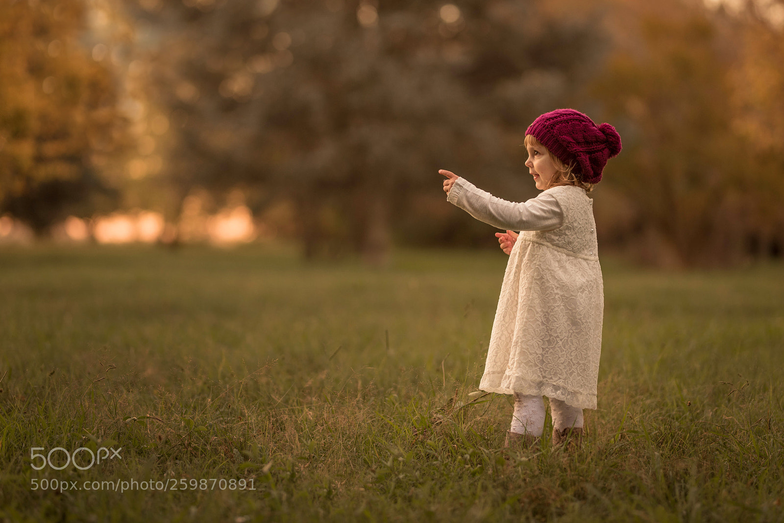 Nikon D750 sample photo. An autumn afternoon photography