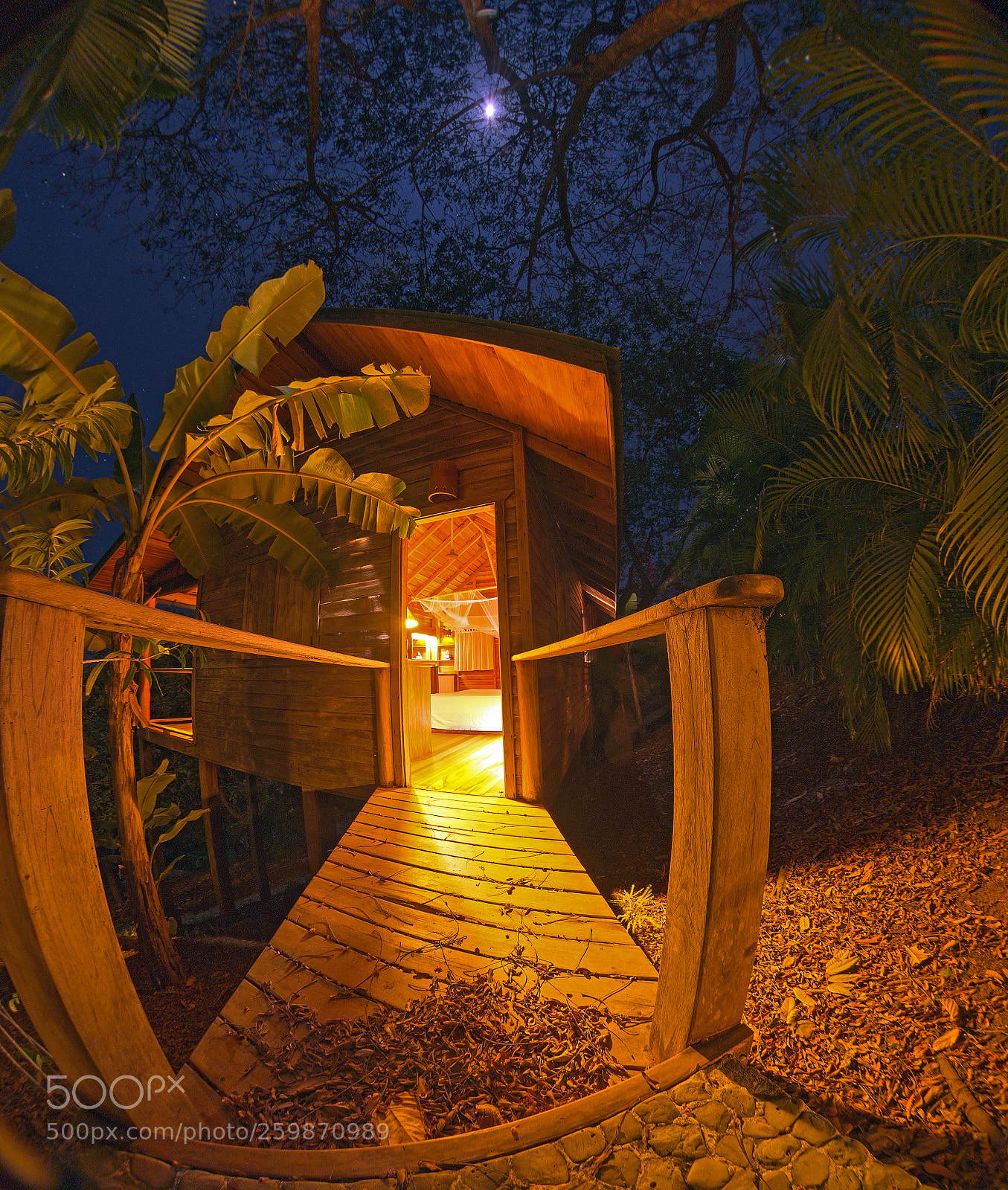 Nikon D610 sample photo. Edit photography