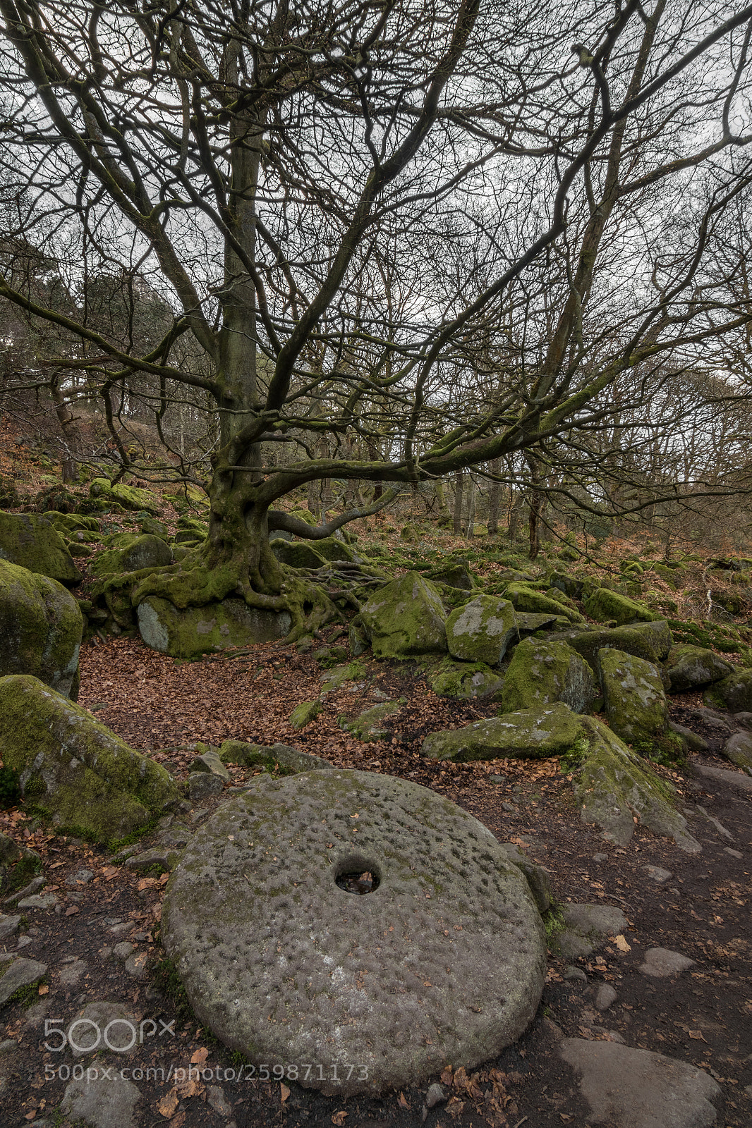 Canon EOS 7D Mark II sample photo. Millstone photography