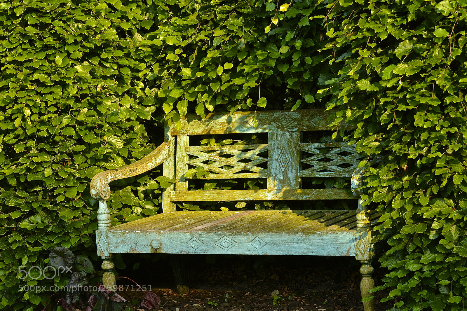 Nikon D7100 sample photo. The old bench photography