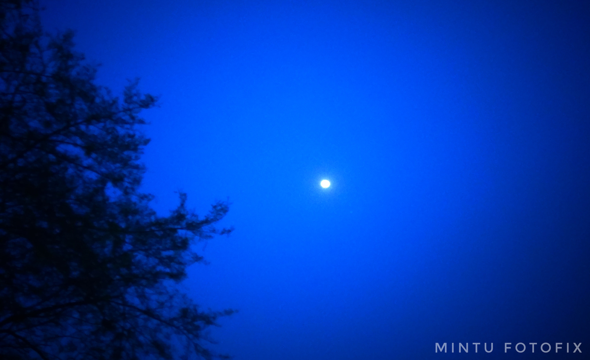 Xiaomi Redmi 5A sample photo. Moon in blue photography