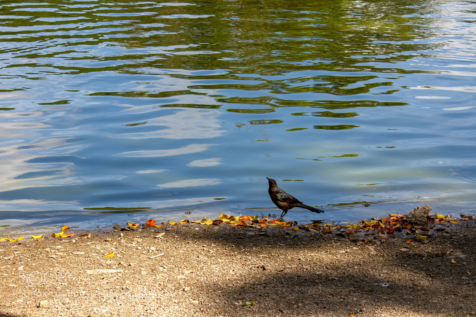 Canon EOS 7D sample photo. Nature photography