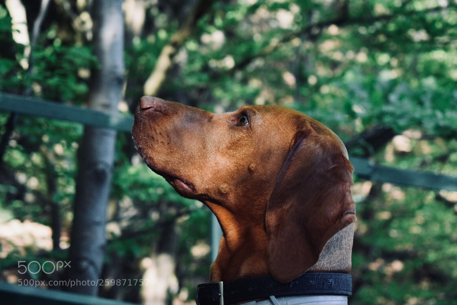 Nikon D5300 sample photo. ? photography