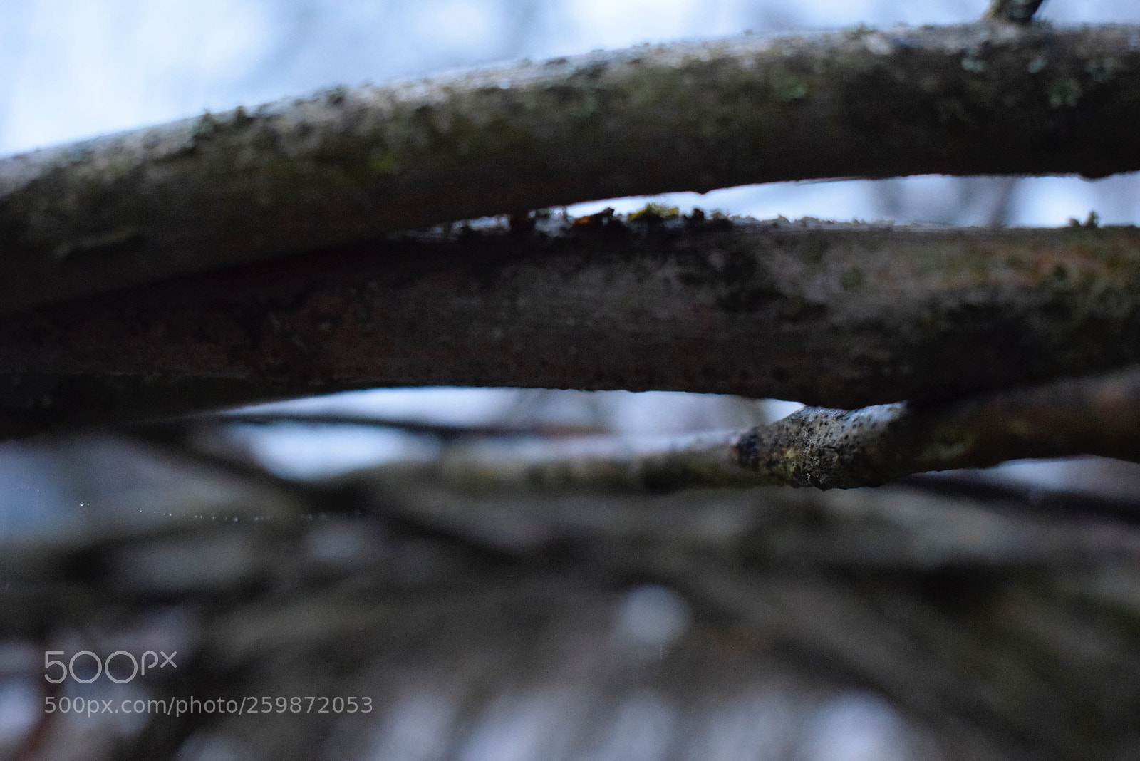 Nikon D3300 sample photo. Pairs photography
