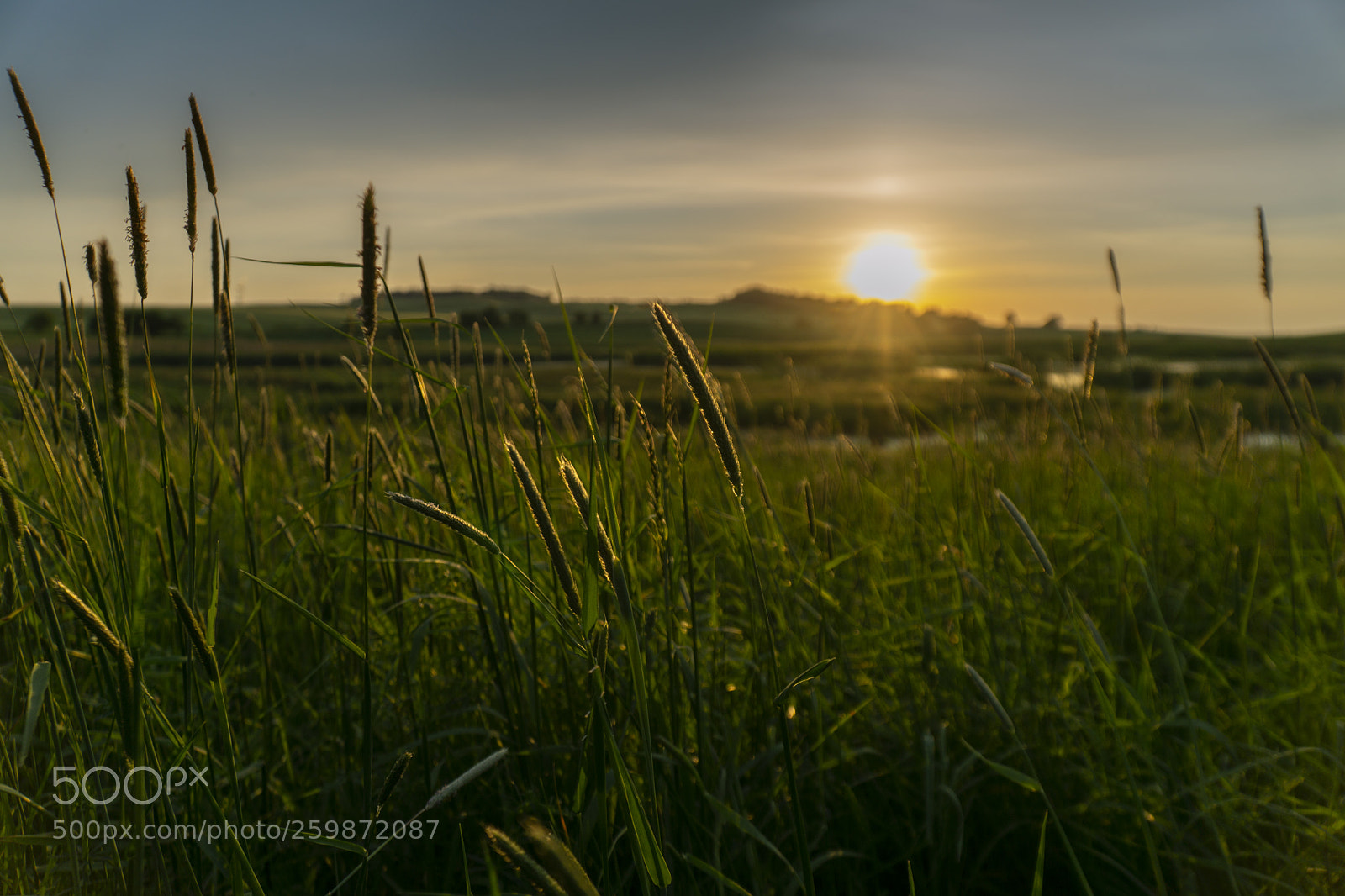 Sony a6000 sample photo. Uckermark photography