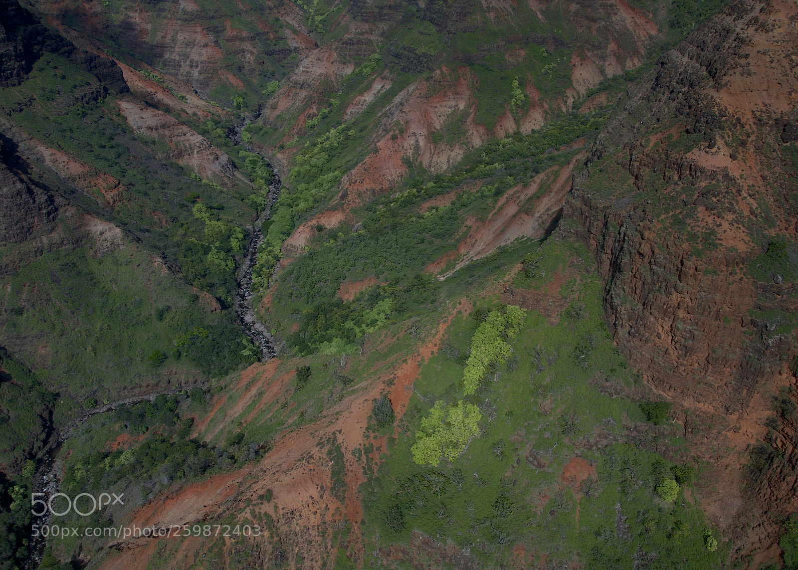 Nikon D300 sample photo. Birds' eye view of photography