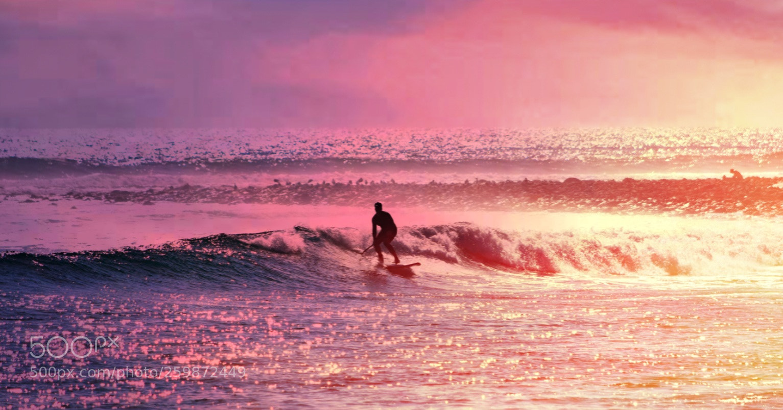 Nikon D5500 sample photo. Malibu purple surfer photography