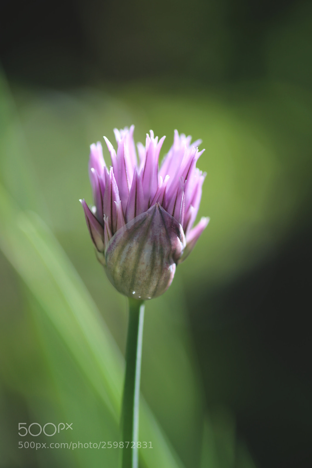 Canon EOS 6D sample photo. Lunar photography