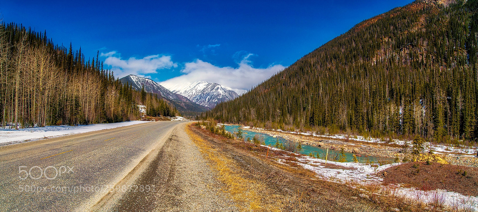 Nikon D610 sample photo. Toad river on the photography