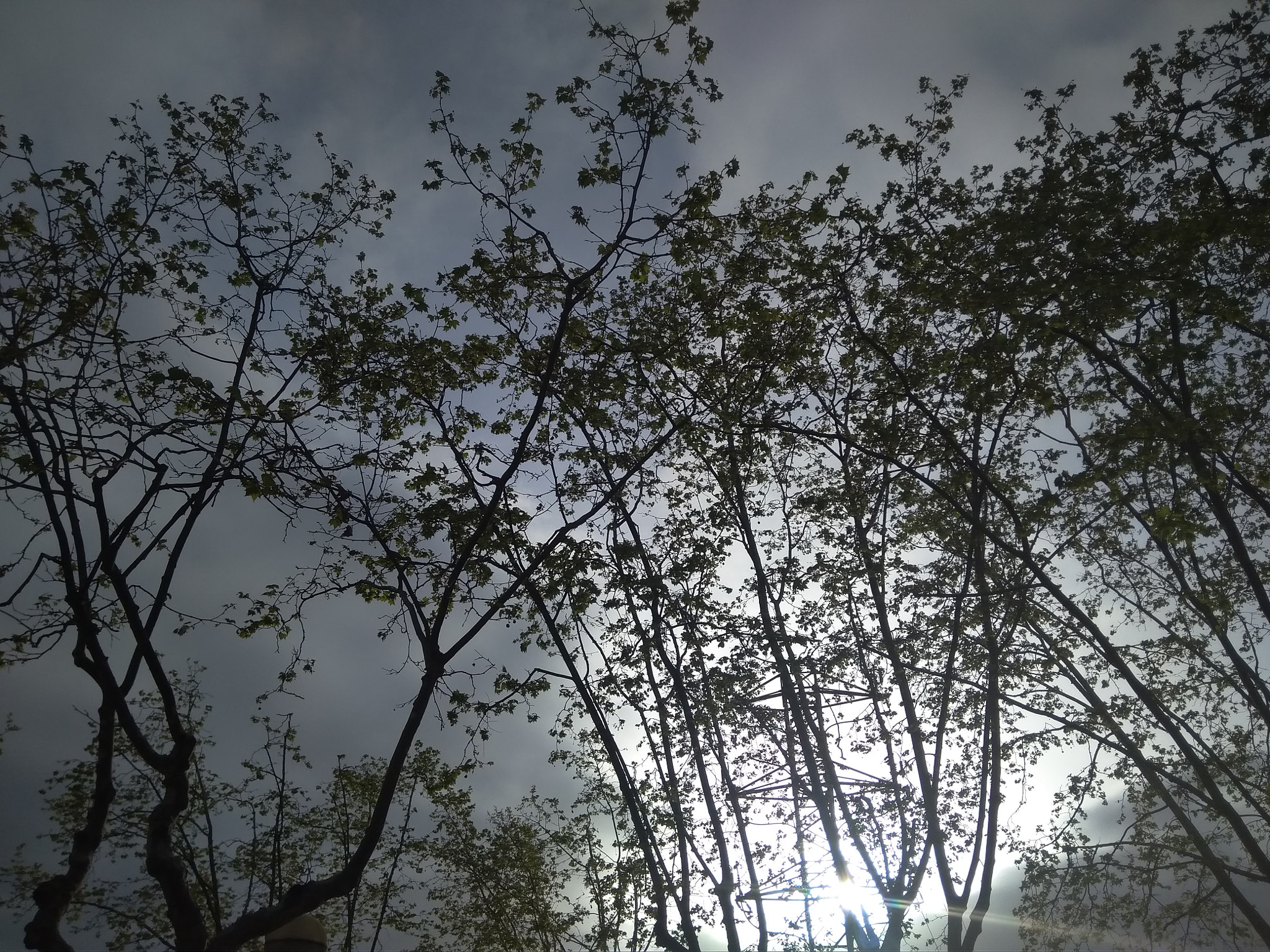 Xiaomi Redmi 4A sample photo