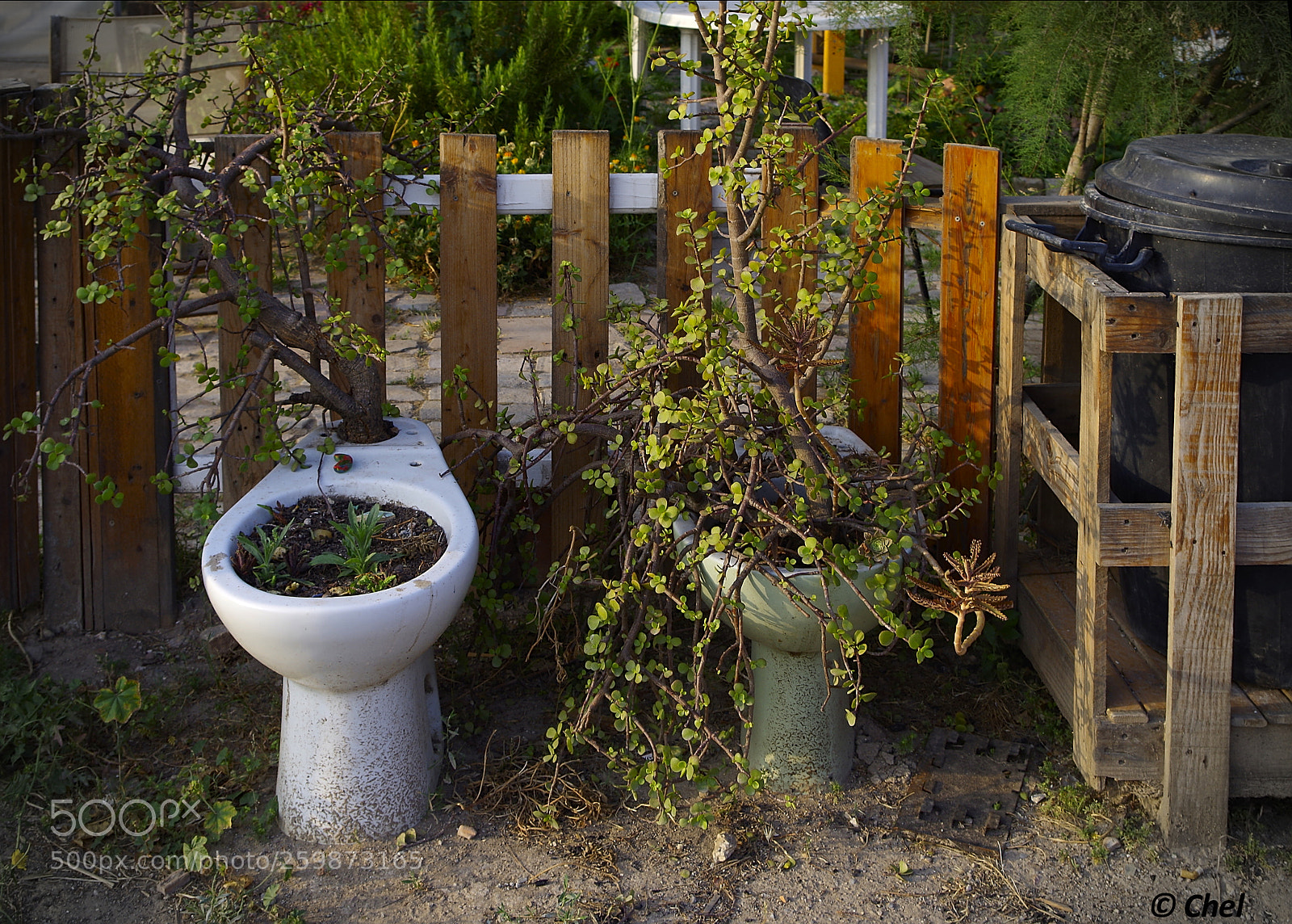 Pentax K-50 sample photo. Macetero alternativo photography